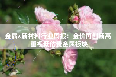 金属&新材料行业周报：金价再创新高 重视低估贵金属板块
