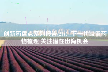 创新药盘点系列报告(21)：下一代减重药物梳理 关注潜在出海机会