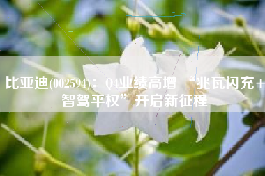比亚迪(002594)：Q4业绩高增 “兆瓦闪充+智驾平权”开启新征程