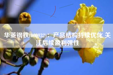 华菱钢铁(000932)：产品结构持续优化 关注后续盈利弹性