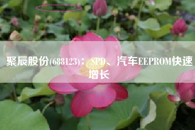 聚辰股份(688123)：SPD、汽车EEPROM快速增长