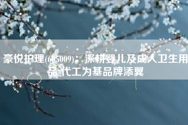 豪悦护理(605009)：深耕婴儿及成人卫生用品 代工为基品牌添翼