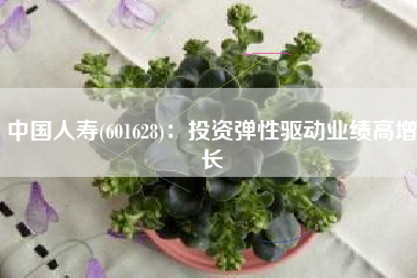 中国人寿(601628)：投资弹性驱动业绩高增长