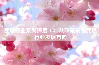 民爆行业系列深度①：从政策端看民爆行业发展方向