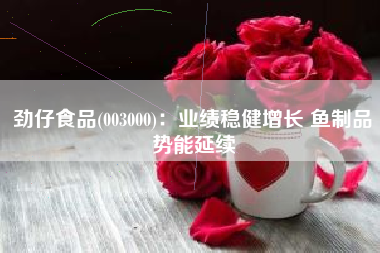 劲仔食品(003000)：业绩稳健增长 鱼制品势能延续