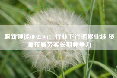 盛新锂能(002240)：行业下行拖累业绩 资源布局夯实长期竞争力