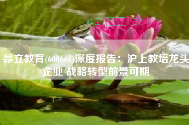 昂立教育(600661)深度报告：沪上教培龙头企业 战略转型前景可期