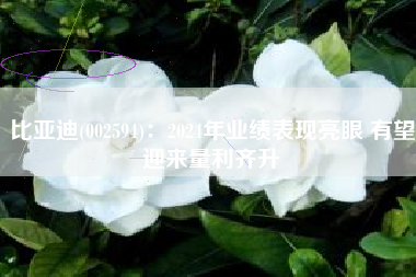 比亚迪(002594)：2024年业绩表现亮眼 有望迎来量利齐升