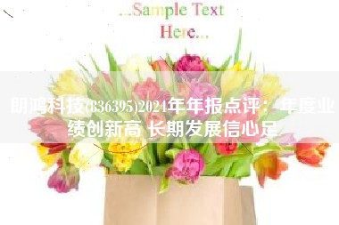 朗鸿科技(836395)2024年年报点评：年度业绩创新高 长期发展信心足