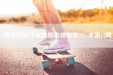 跨境出海行业周度市场观察2025年第11周