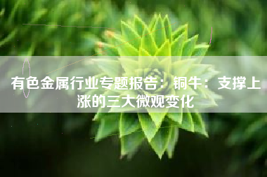有色金属行业专题报告：铜牛：支撑上涨的三大微观变化