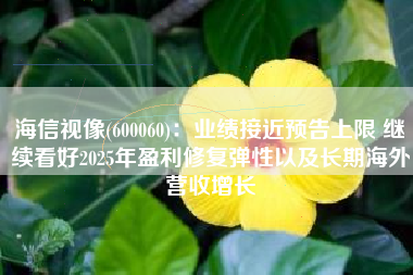 海信视像(600060)：业绩接近预告上限 继续看好2025年盈利修复弹性以及长期海外营收增长