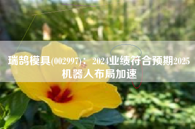 瑞鹄模具(002997)：2024业绩符合预期2025机器人布局加速