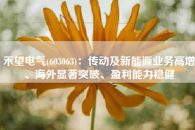 禾望电气(603063)：传动及新能源业务高增、海外显著突破、盈利能力稳健