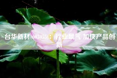 台华新材(603055)：行业景气 加快产品创新