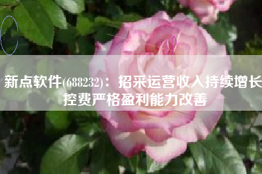 新点软件(688232)：招采运营收入持续增长 控费严格盈利能力改善