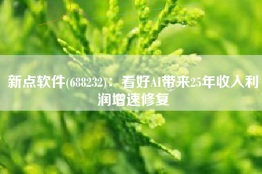 新点软件(688232)：看好AI带来25年收入利润增速修复