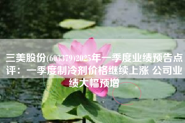 三美股份(603379)2025年一季度业绩预告点评：一季度制冷剂价格继续上涨 公司业绩大幅预增