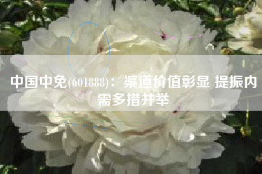 中国中免(601888)：渠道价值彰显 提振内需多措并举