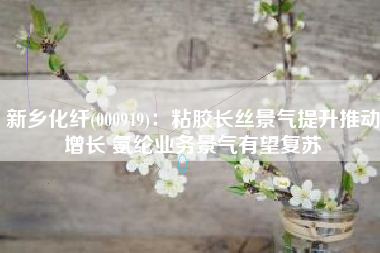 新乡化纤(000949)：粘胶长丝景气提升推动增长 氨纶业务景气有望复苏