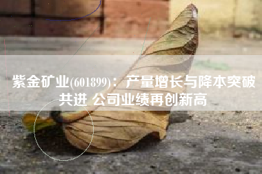 紫金矿业(601899)：产量增长与降本突破共进 公司业绩再创新高