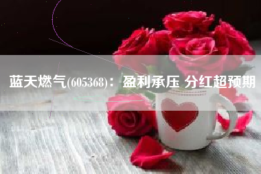 蓝天燃气(605368)：盈利承压 分红超预期