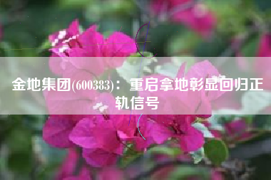 金地集团(600383)：重启拿地彰显回归正轨信号