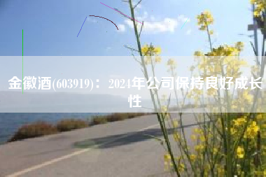金徽酒(603919)：2024年公司保持良好成长性