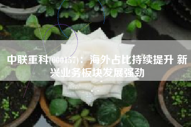 中联重科(000157)：海外占比持续提升 新兴业务板块发展强劲