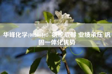 华峰化学(002064)：氨纶底部 业绩承压 巩固一体化优势