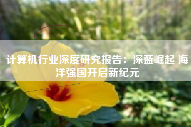 计算机行业深度研究报告：深蓝崛起 海洋强国开启新纪元