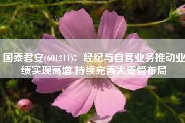 国泰君安(601211)：经纪与自营业务推动业绩实现高增 持续完善大资管布局