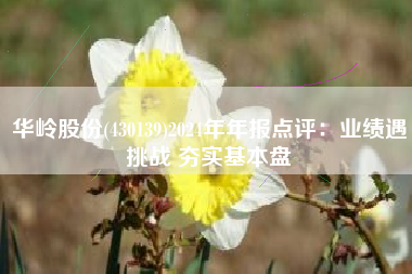 华岭股份(430139)2024年年报点评：业绩遇挑战 夯实基本盘