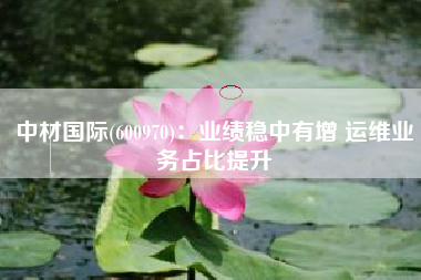中材国际(600970)：业绩稳中有增 运维业务占比提升