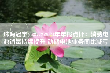 珠海冠宇(688772)2024年年报点评：消费电池销量持续提升 动储电池业务同比减亏
