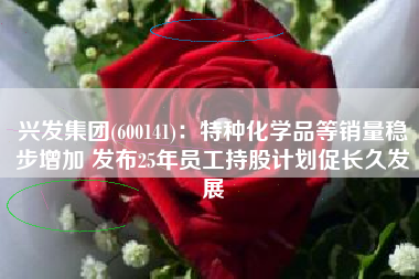 兴发集团(600141)：特种化学品等销量稳步增加 发布25年员工持股计划促长久发展