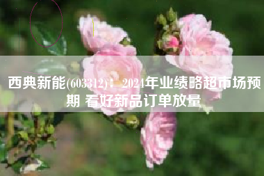 西典新能(603312)：2024年业绩略超市场预期 看好新品订单放量