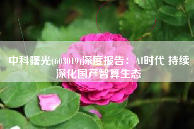 中科曙光(603019)深度报告：AI时代 持续深化国产智算生态