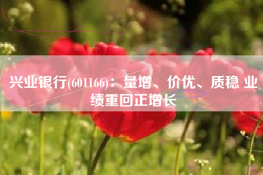 兴业银行(601166)：量增、价优、质稳 业绩重回正增长