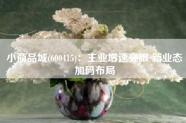 小商品城(600415)：主业增速亮眼 新业态加码布局