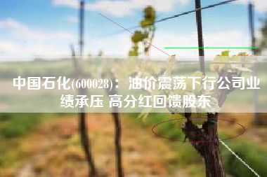 中国石化(600028)：油价震荡下行公司业绩承压 高分红回馈股东