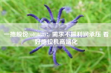 一拖股份(601038)：需求不振利润承压 看好拖拉机高端化
