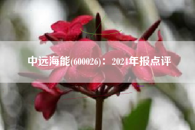 中远海能(600026)：2024年报点评