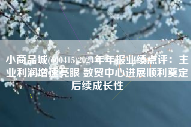 小商品城(600415)2024年年报业绩点评：主业利润增速亮眼 数贸中心进展顺利奠定后续成长性
