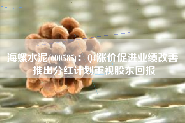 海螺水泥(600585)：Q4涨价促进业绩改善 推出分红计划重视股东回报