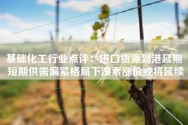 基础化工行业点评：进口货源到港延期 短期供需偏紧格局下溴素涨价或将延续