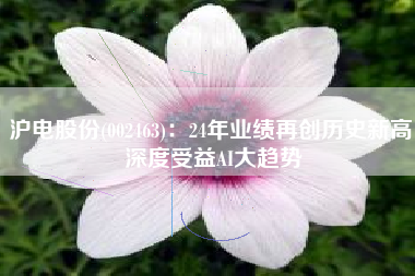 沪电股份(002463)：24年业绩再创历史新高 深度受益AI大趋势
