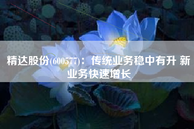 精达股份(600577)：传统业务稳中有升 新业务快速增长