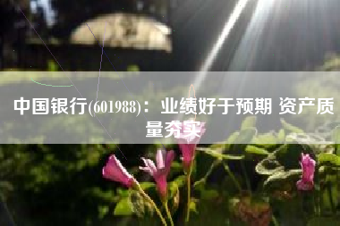 中国银行(601988)：业绩好于预期 资产质量夯实