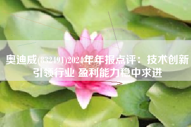 奥迪威(832491)2024年年报点评：技术创新引领行业 盈利能力稳中求进